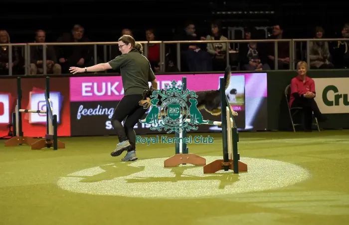 Framed Print : Crufts 2019 - Day Two, NEC, UK - 8 Mar 2019 Framed Print : Crufts 2019 - Day Two, NEC, UK - 8 Mar 2019