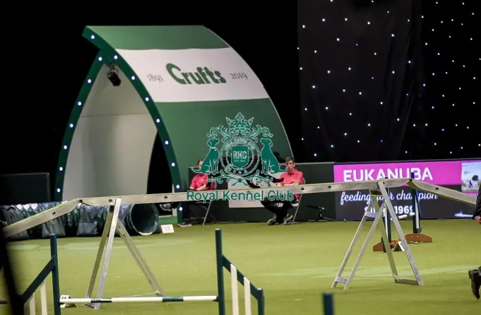 Framed Print : Crufts 2019 - Day Two, NEC, UK - 8 Mar 2019 Framed Print : Crufts 2019 - Day Two, NEC, UK - 8 Mar 2019