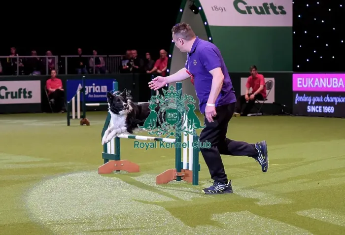 Framed Print : Crufts 2019 - Day Two, NEC, UK - 8 Mar 2019 Framed Print : Crufts 2019 - Day Two, NEC, UK - 8 Mar 2019
