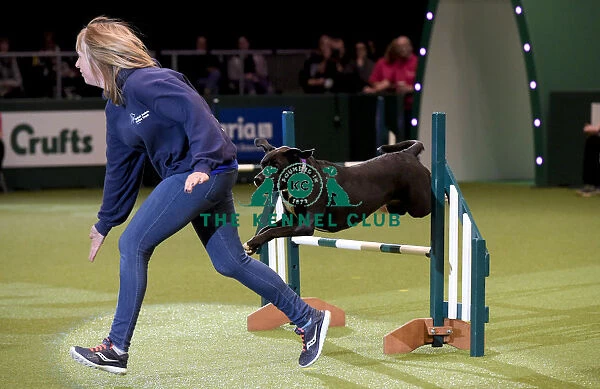 Crufts 2019 - Day Two, NEC, UK - 8 Mar 2019