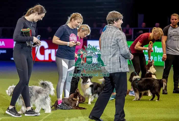 Framed Print : Crufts 2019 - Day Two, NEC, UK - 8 Mar 2019 Framed Print : Crufts 2019 - Day Two, NEC, UK - 8 Mar 2019
