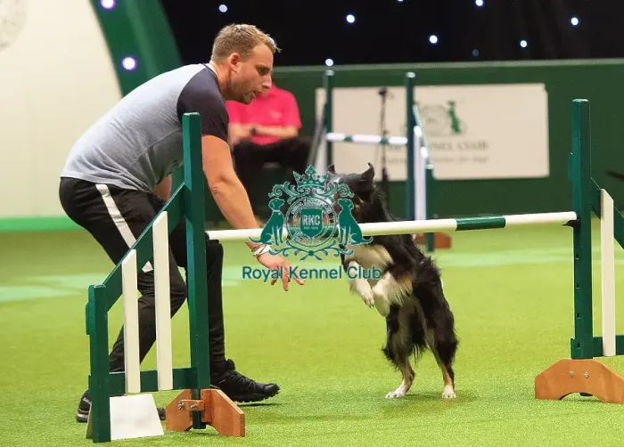Framed Print : Crufts 2019 - Day Two, NEC, UK - 8 Mar 2019 Framed Print : Crufts 2019 - Day Two, NEC, UK - 8 Mar 2019