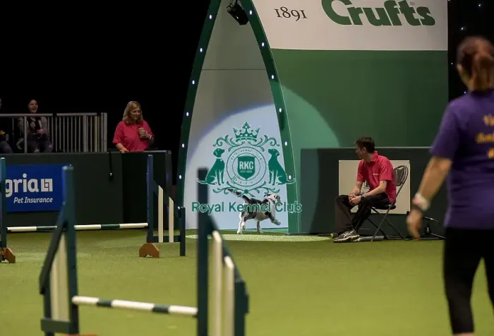 Framed Print : Crufts 2019 - Day Two, NEC, UK - 8 Mar 2019 Framed Print : Crufts 2019 - Day Two, NEC, UK - 8 Mar 2019