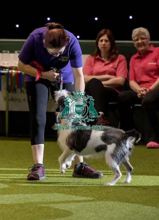 Framed Print : Crufts 2019 - Day Two, NEC, UK - 8 Mar 2019 Framed Print : Crufts 2019 - Day Two, NEC, UK - 8 Mar 2019