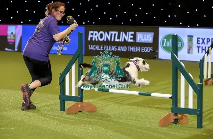 Framed Print : Crufts 2019 - Day Two, NEC, UK - 8 Mar 2019 Framed Print : Crufts 2019 - Day Two, NEC, UK - 8 Mar 2019