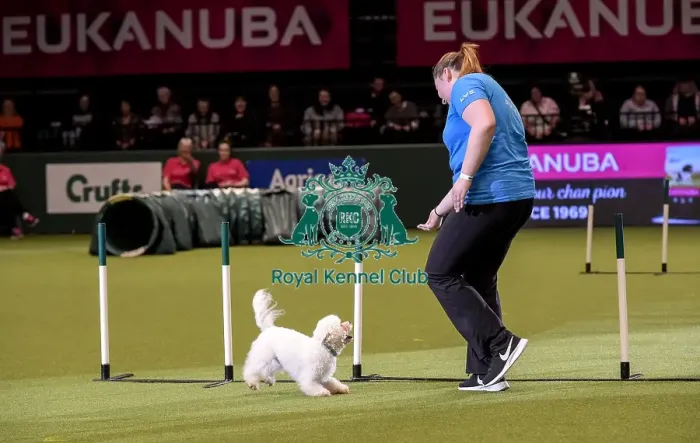 Framed Print : Crufts 2019 - Day Two, NEC, UK - 8 Mar 2019