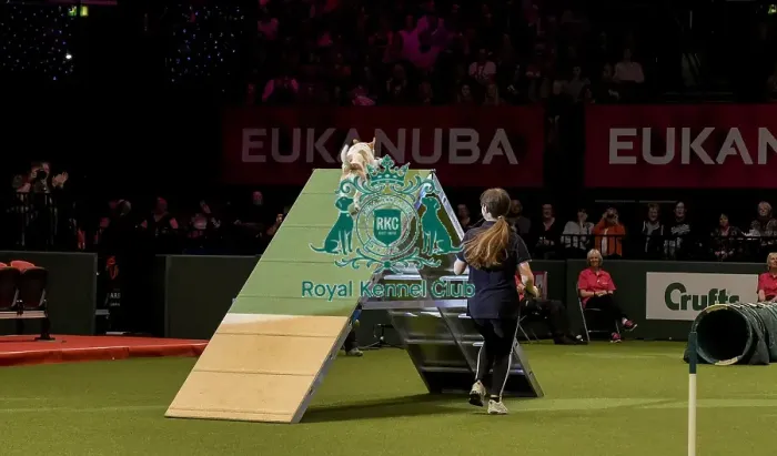 Framed Print : Crufts 2019 - Day Two, NEC, UK - 8 Mar 2019 Framed Print : Crufts 2019 - Day Two, NEC, UK - 8 Mar 2019