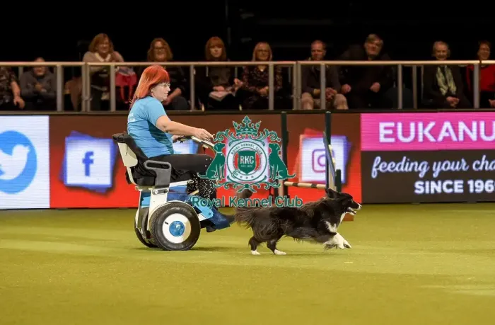 Framed Print : Crufts 2019 - Day Two, NEC, UK - 8 Mar 2019 Framed Print : Crufts 2019 - Day Two, NEC, UK - 8 Mar 2019