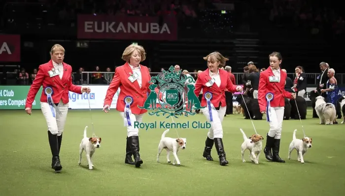 Framed Print : Crufts 2019 - Day Two, NEC, UK - 8 Mar 2019 Framed Print : Crufts 2019 - Day Two, NEC, UK - 8 Mar 2019