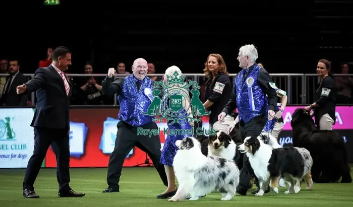 Framed Print : Crufts 2019 - Day Two, NEC, UK - 8 Mar 2019 Framed Print : Crufts 2019 - Day Two, NEC, UK - 8 Mar 2019