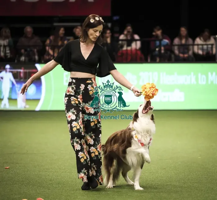 Framed Print : Crufts 2019 - Day Two, NEC, UK - 8 Mar 2019 Framed Print : Crufts 2019 - Day Two, NEC, UK - 8 Mar 2019