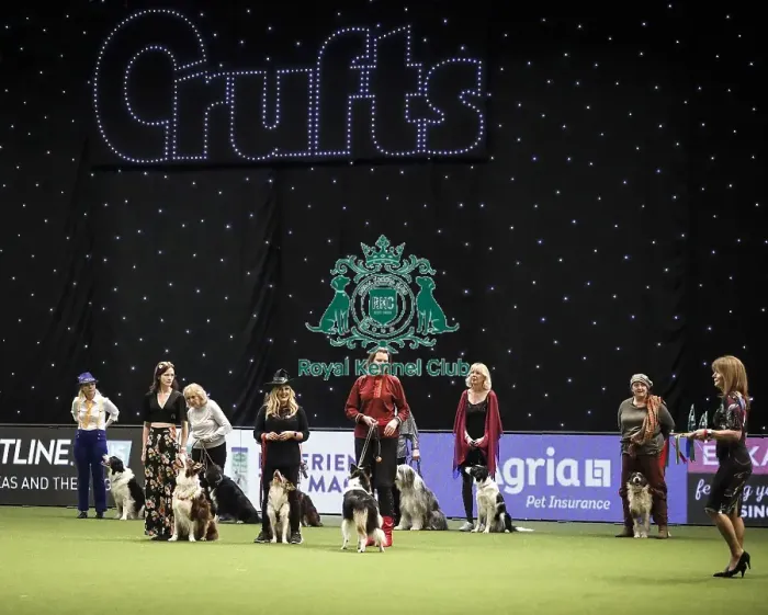 Framed Print : Crufts 2019 - Day Two, NEC, UK - 8 Mar 2019 Framed Print : Crufts 2019 - Day Two, NEC, UK - 8 Mar 2019