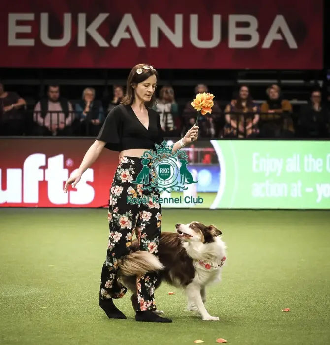 Framed Print : Crufts 2019 - Day Two, NEC, UK - 8 Mar 2019 Framed Print : Crufts 2019 - Day Two, NEC, UK - 8 Mar 2019