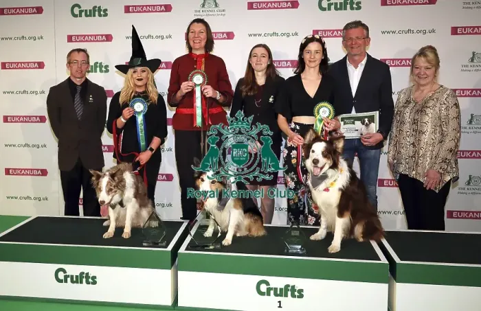 Framed Print : Crufts 2019 - Day Two, NEC, UK - 8 Mar 2019 Framed Print : Crufts 2019 - Day Two, NEC, UK - 8 Mar 2019