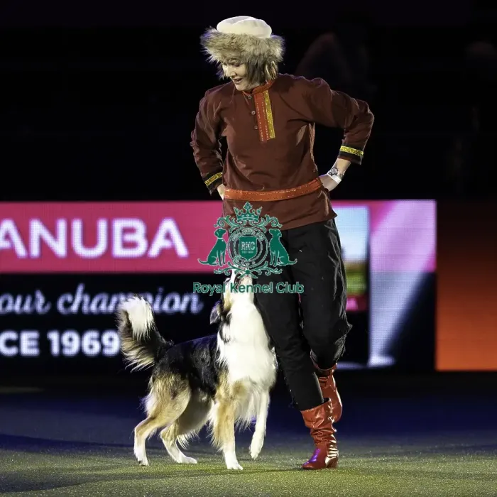 Framed Print : Crufts 2019 - Day Two, NEC, UK - 8 Mar 2019 Framed Print : Crufts 2019 - Day Two, NEC, UK - 8 Mar 2019