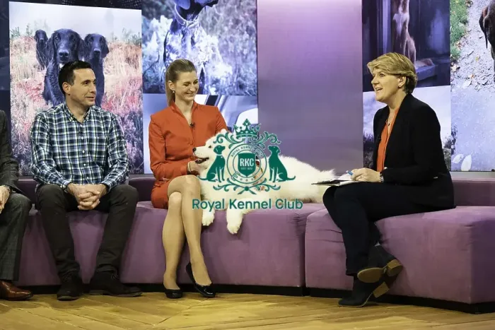 Framed Print : Crufts 2019 - Day Two, NEC, UK - 8 Mar 2019 Framed Print : Crufts 2019 - Day Two, NEC, UK - 8 Mar 2019