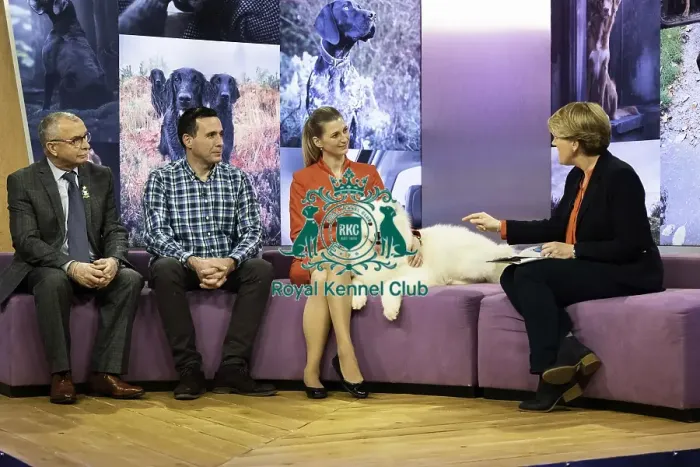 Framed Print : Crufts 2019 - Day Two, NEC, UK - 8 Mar 2019 Framed Print : Crufts 2019 - Day Two, NEC, UK - 8 Mar 2019