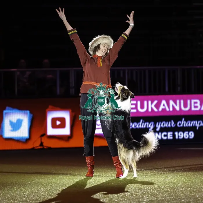 Framed Print : Crufts 2019 - Day Two, NEC, UK - 8 Mar 2019 Framed Print : Crufts 2019 - Day Two, NEC, UK - 8 Mar 2019