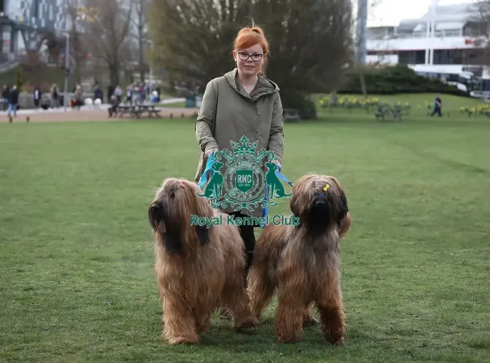 Framed Print : Crufts 2019 - Day Two, NEC, UK - 8 Mar 2019 Framed Print : Crufts 2019 - Day Two, NEC, UK - 8 Mar 2019