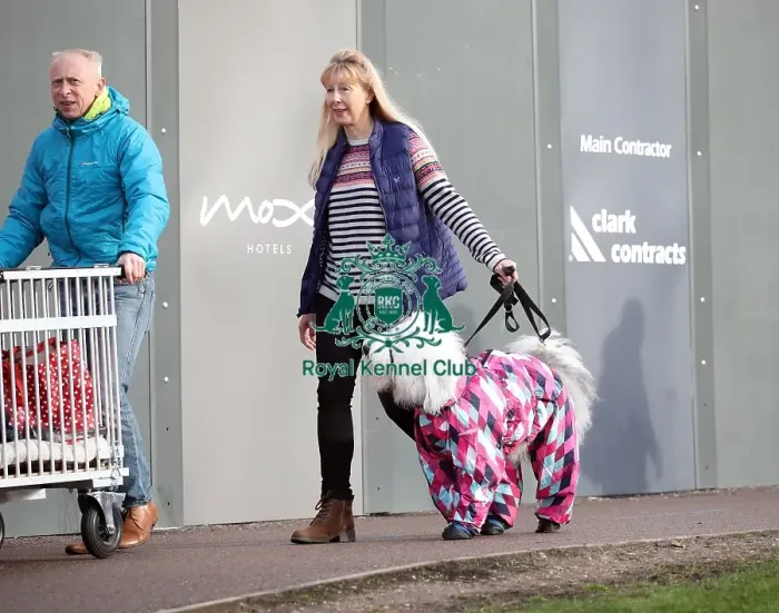 Framed Print : Crufts 2019 - Day Two, NEC, UK - 8 Mar 2019 Framed Print : Crufts 2019 - Day Two, NEC, UK - 8 Mar 2019