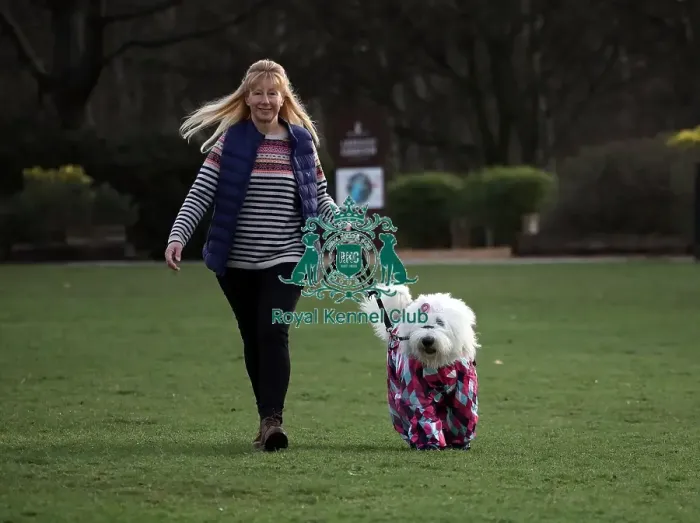 Framed Print : Crufts 2019 - Day Two, NEC, UK - 8 Mar 2019 Framed Print : Crufts 2019 - Day Two, NEC, UK - 8 Mar 2019