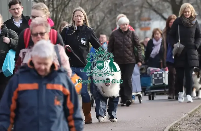 Framed Print : Crufts 2019 - Day Two, NEC, UK - 8 Mar 2019 Framed Print : Crufts 2019 - Day Two, NEC, UK - 8 Mar 2019
