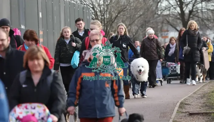 Framed Print : Crufts 2019 - Day Two, NEC, UK - 8 Mar 2019 Framed Print : Crufts 2019 - Day Two, NEC, UK - 8 Mar 2019