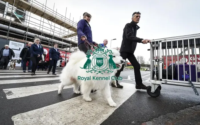 Framed Print : Crufts 2019 - Day Two, NEC, UK - 8 Mar 2019 Framed Print : Crufts 2019 - Day Two, NEC, UK - 8 Mar 2019