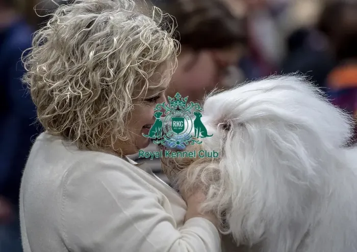 Framed Print : Crufts 2019 - Day Two, NEC, UK - 8 Mar 2019 Framed Print : Crufts 2019 - Day Two, NEC, UK - 8 Mar 2019