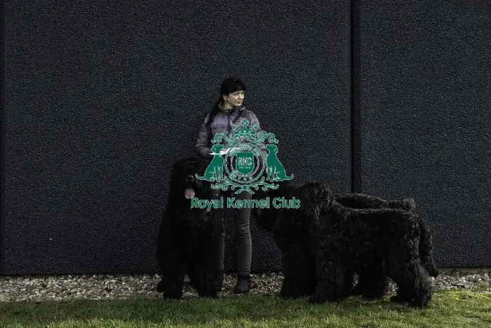 Framed Print : Crufts 2019 - Day Two, NEC, UK - 8 Mar 2019 Framed Print : Crufts 2019 - Day Two, NEC, UK - 8 Mar 2019