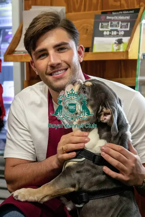 Framed Print : Crufts 2019 - Day Two, NEC, UK - 8 Mar 2019 Framed Print : Crufts 2019 - Day Two, NEC, UK - 8 Mar 2019