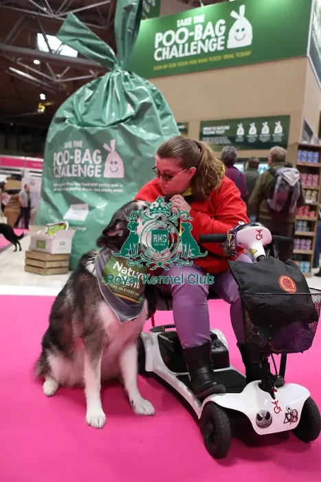 Framed Print : Crufts 2019 - Day Two, NEC, UK - 8 Mar 2019 Framed Print : Crufts 2019 - Day Two, NEC, UK - 8 Mar 2019