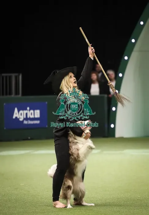 Framed Print : Crufts 2019 - Day Two, NEC, UK - 8 Mar 2019 Framed Print : Crufts 2019 - Day Two, NEC, UK - 8 Mar 2019