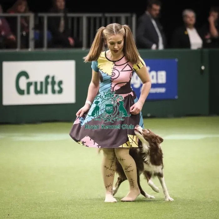 Framed Print : Crufts 2019 - Day Two, NEC, UK - 8 Mar 2019 Framed Print : Crufts 2019 - Day Two, NEC, UK - 8 Mar 2019