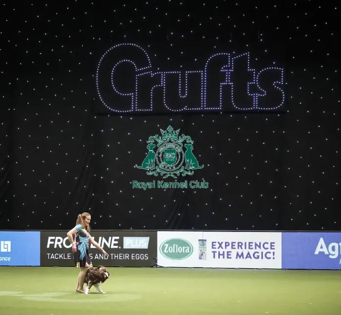 Framed Print : Crufts 2019 - Day Two, NEC, UK - 8 Mar 2019 Framed Print : Crufts 2019 - Day Two, NEC, UK - 8 Mar 2019