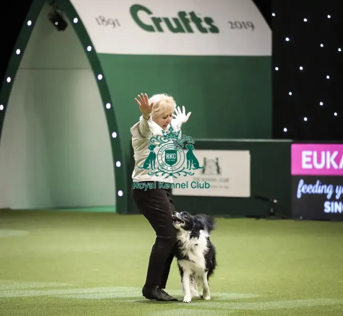 Framed Print : Crufts 2019 - Day Two, NEC, UK - 8 Mar 2019