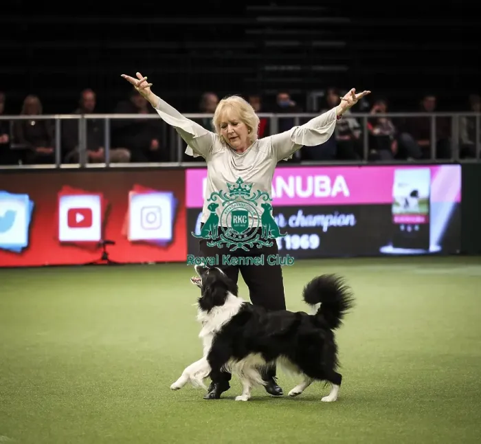 Framed Print : Crufts 2019 - Day Two, NEC, UK - 8 Mar 2019 Framed Print : Crufts 2019 - Day Two, NEC, UK - 8 Mar 2019