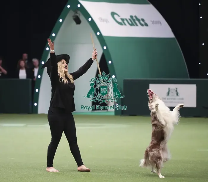Framed Print : Crufts 2019 - Day Two, NEC, UK - 8 Mar 2019 Framed Print : Crufts 2019 - Day Two, NEC, UK - 8 Mar 2019