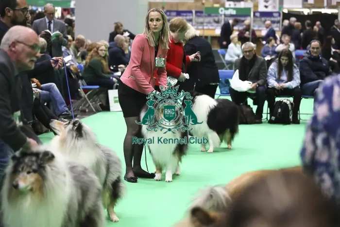 Framed Print : Crufts 2019 - Day Two, NEC, UK - 8 Mar 2019 Framed Print : Crufts 2019 - Day Two, NEC, UK - 8 Mar 2019