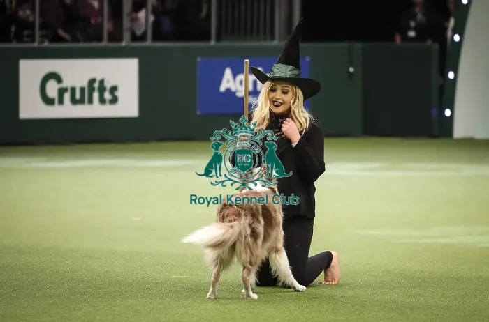Framed Print : Crufts 2019 - Day Two, NEC, UK - 8 Mar 2019 Framed Print : Crufts 2019 - Day Two, NEC, UK - 8 Mar 2019