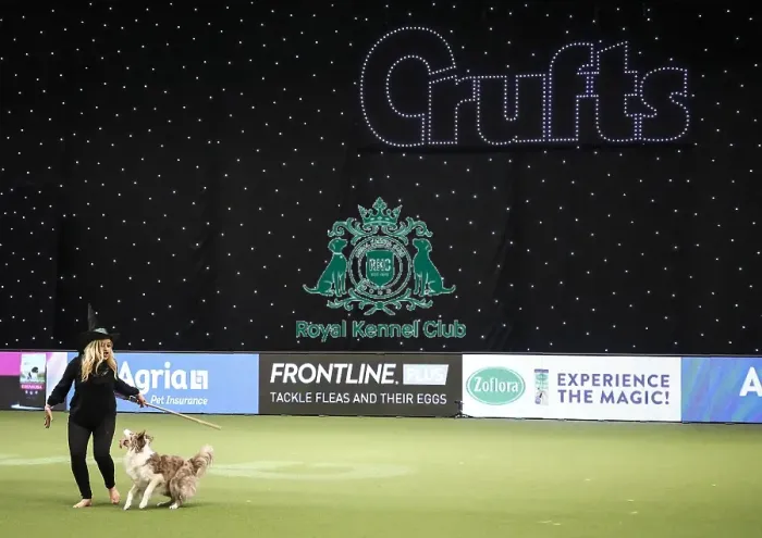 Framed Print : Crufts 2019 - Day Two, NEC, UK - 8 Mar 2019 Framed Print : Crufts 2019 - Day Two, NEC, UK - 8 Mar 2019