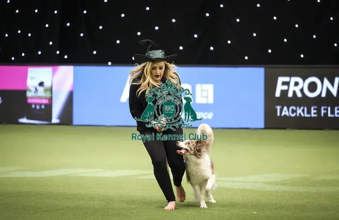 Framed Print : Crufts 2019 - Day Two, NEC, UK - 8 Mar 2019 Framed Print : Crufts 2019 - Day Two, NEC, UK - 8 Mar 2019