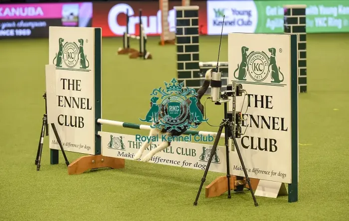 Framed Print : Crufts 2019 - Day Two, NEC, UK - 8 Mar 2019 Framed Print : Crufts 2019 - Day Two, NEC, UK - 8 Mar 2019