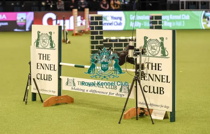 Framed Print : Crufts 2019 - Day Two, NEC, UK - 8 Mar 2019 Framed Print : Crufts 2019 - Day Two, NEC, UK - 8 Mar 2019