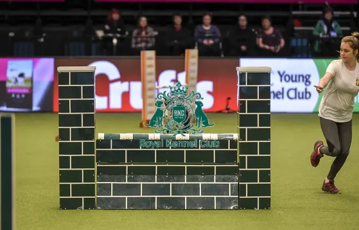 Framed Print : Crufts 2019 - Day Two, NEC, UK - 8 Mar 2019 Framed Print : Crufts 2019 - Day Two, NEC, UK - 8 Mar 2019