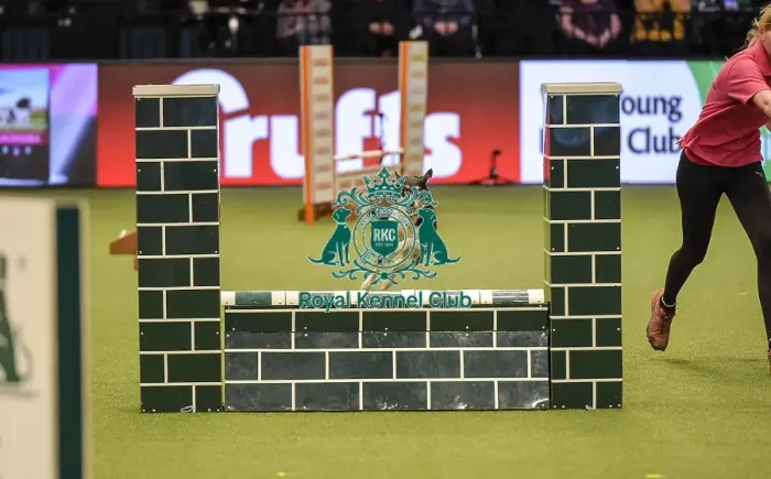 Framed Print : Crufts 2019 - Day Two, NEC, UK - 8 Mar 2019