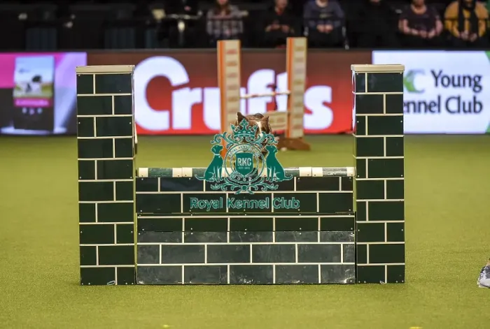 Framed Print : Crufts 2019 - Day Two, NEC, UK - 8 Mar 2019 Framed Print : Crufts 2019 - Day Two, NEC, UK - 8 Mar 2019
