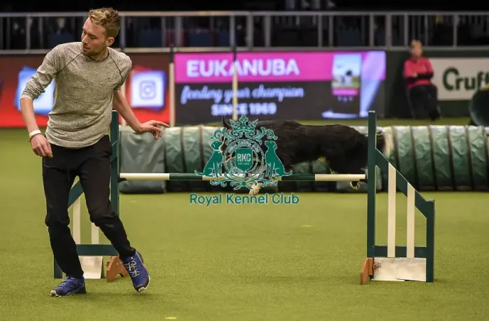 Framed Print : Crufts 2019 - Day Two, NEC, UK - 8 Mar 2019 Framed Print : Crufts 2019 - Day Two, NEC, UK - 8 Mar 2019