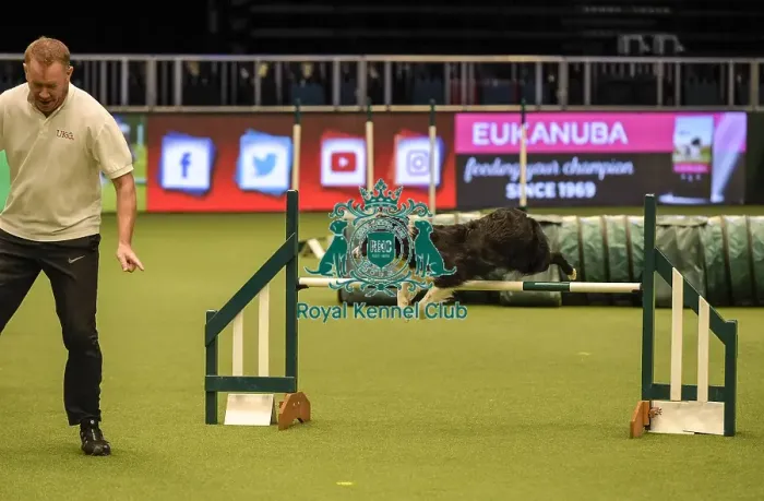 Framed Print : Crufts 2019 - Day Two, NEC, UK - 8 Mar 2019 Framed Print : Crufts 2019 - Day Two, NEC, UK - 8 Mar 2019