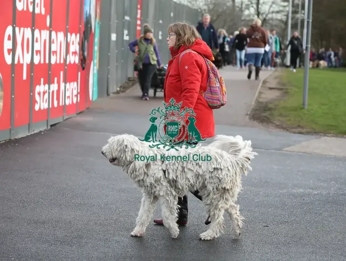 Framed Print : Crufts 2019 - Day Two, NEC, UK - 8 Mar 2019